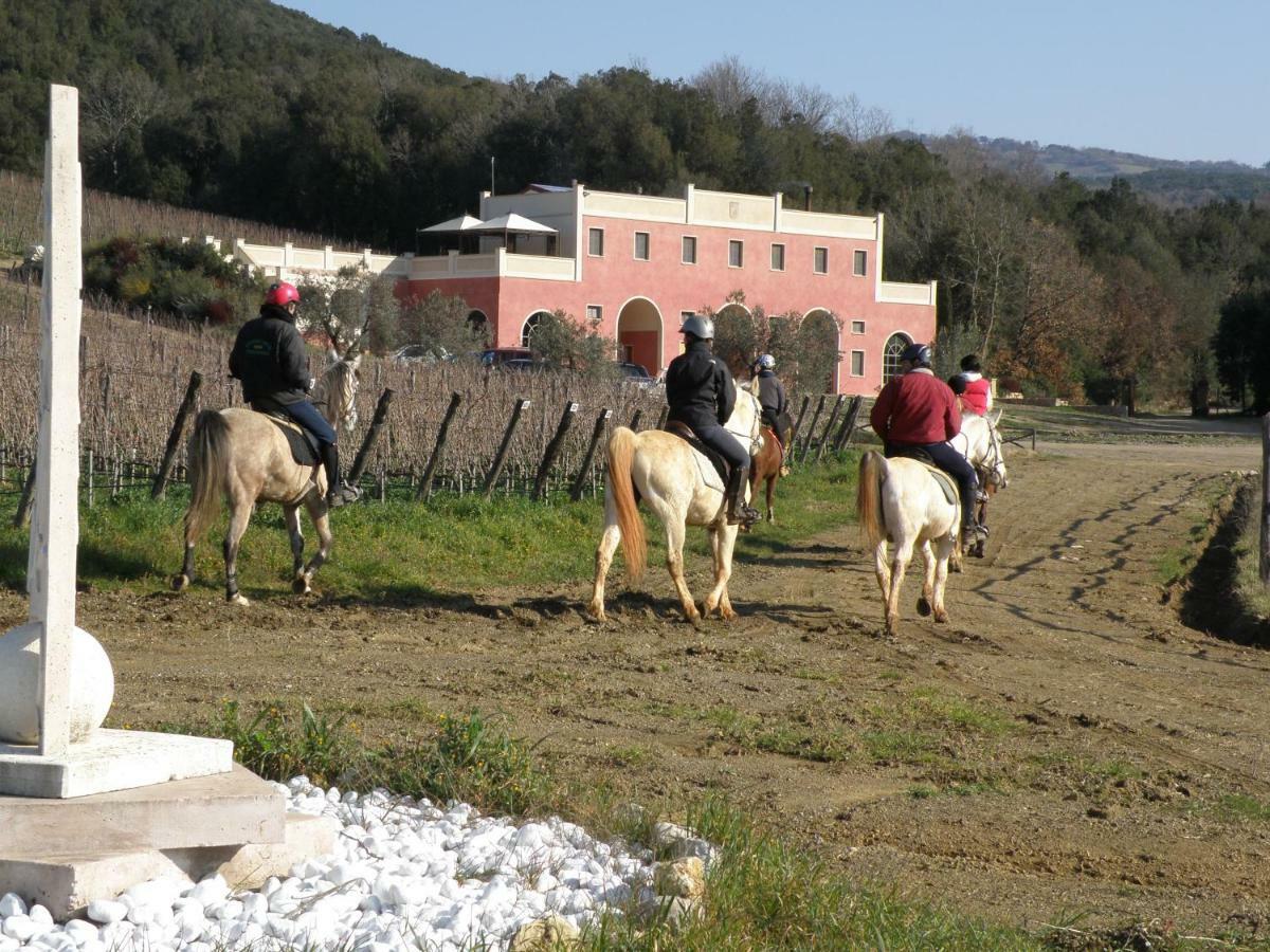 Tenuta Il Sassone - Wine&Food Massa Marittima Eksteriør bilde