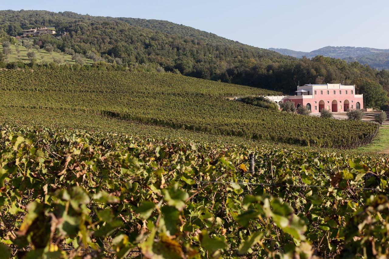 Tenuta Il Sassone - Wine&Food Massa Marittima Eksteriør bilde