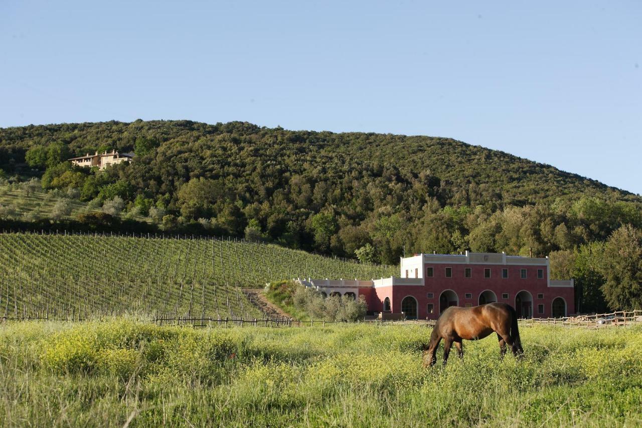 Tenuta Il Sassone - Wine&Food Massa Marittima Eksteriør bilde
